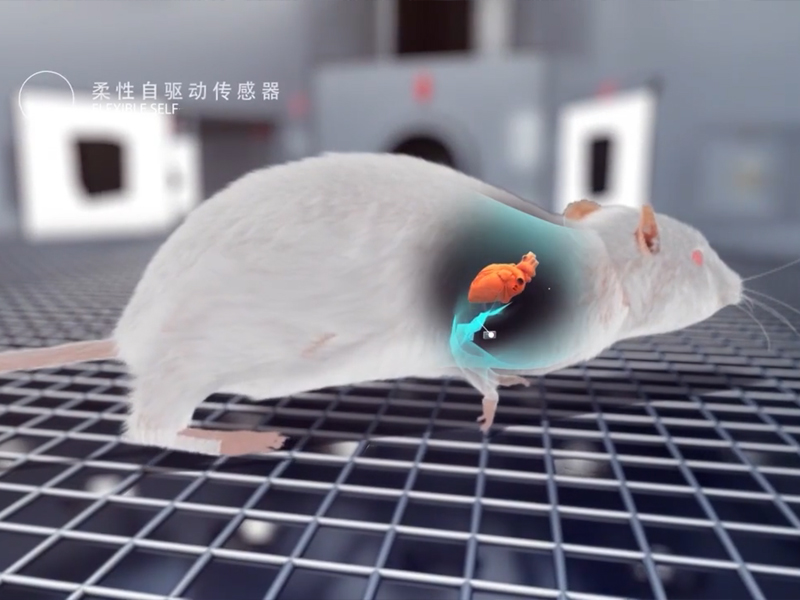 医学教育动画，医学原理三维动画，‌医疗器械展示动画，神经研究三维动画，医学临床沟通动画演示